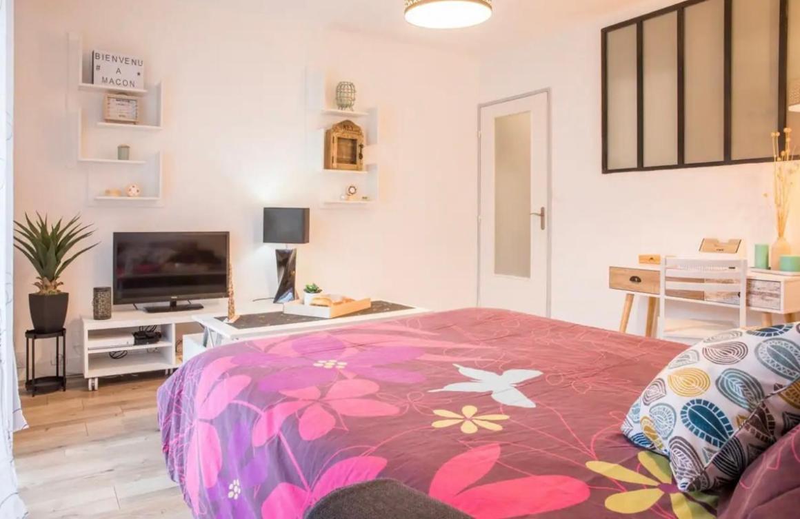 Charmant Appartement T1 Mâcon Kültér fotó